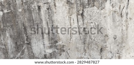 grayish paper background with black mold, taken from the front position