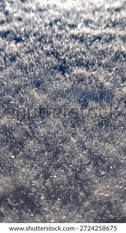 Grayish Snow Texture Macro Abstract Background. Close-up macro of fresh snow surface with subtle grayish tones and sparkling crystals. Neutral minimalist winter texture ideal for abstract backgrounds, seamless patterns, overlays or design mockups.