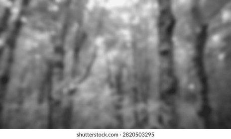 A grayscale abstract background featuring vertical lines and organic shapes, creating a textured and visually interesting pattern.