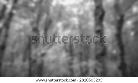 A grayscale abstract background featuring vertical lines and organic shapes, creating a textured and visually interesting pattern.