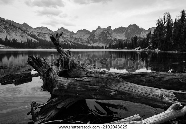 A grayscale image of the reflection of the\
Sawtooth Mountains in the  Alice\
Lake