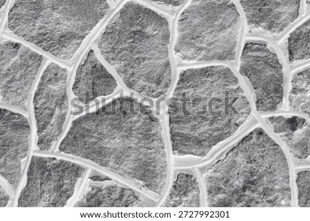 Grayscale Irregular Stone Wall Texture