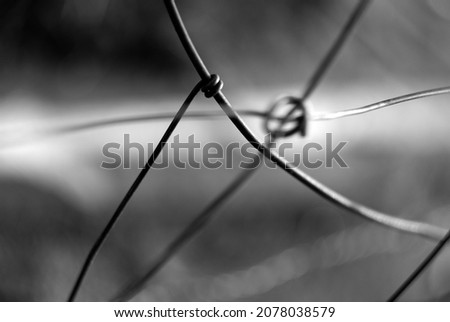 Similar – Image, Stock Photo wire mesh fence Deserted