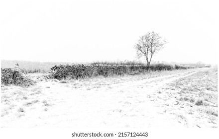 A grayscale shot of a bare tree amid a winter flurry of snow along Akeman Street in rural Oxfordshire