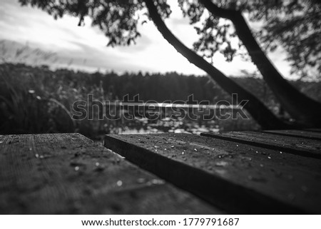 A grayscale shot of a wooden platform near a reflective lake surrounded by a forest in Canada