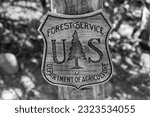 A grayscale of the U.S Department of Agriculture sign on a tree trunk