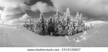 Similar – Foto Bild Rauhreif Winter Natur