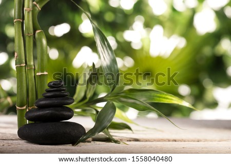 Grean bamboo leaves over black zen stones pyramid on tropical leaves background
