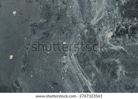 Grease and various types of dirt float on the surface of the polluted public canals, turning the water black.