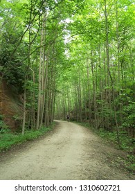 The Great Allegheny Passage Bike Trail