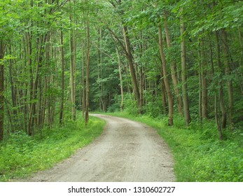 The Great Allegheny Passage Bike Trail