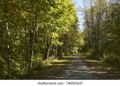 The Great Allegheny Passage, A Rail Trail, At Myersdale, Pennsylvania, USA