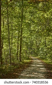 The Great Allegheny Passage Trail At Ohiopyle, Pennsylvania 