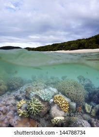 Great Barrier Reef In Whitsundays