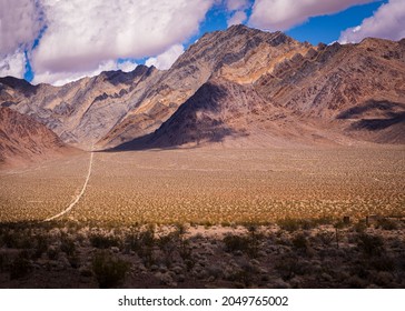 The Great Basin Desert, Nevada