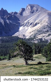 Great Basin National Park And Mount Moriah Wilderness, Snake Range, Nevada