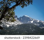 Great Basin National Park Wheeler Peak