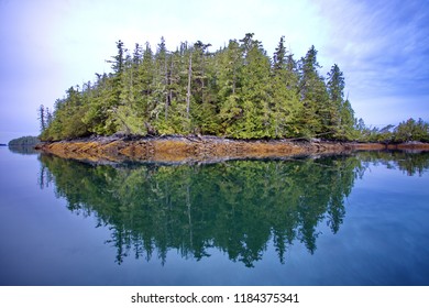 Great Bear Rainforest Canada