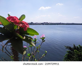 The Great And Beautiful Blue Nile River 