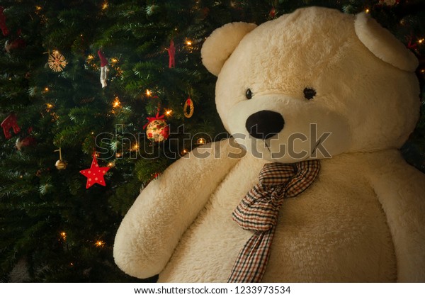 next teddy bear