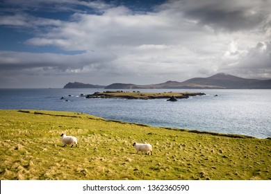 Great Blasket Island Landscape