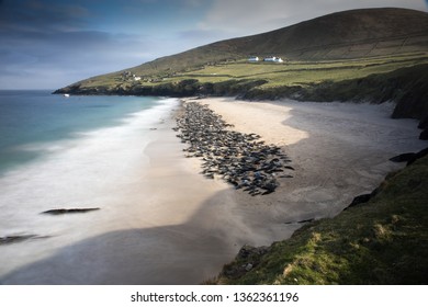 Great Blasket Island Landscape