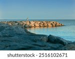 a great blue heron sits on a rocky jetty in the calm waters of the chesapeake bay in maryland just before sunset