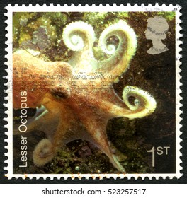 GREAT BRITAIN - CIRCA 2007: A Used Postage Stamp From The UK, Depicting An Image Of Lesser Octopus, Circa 2007.