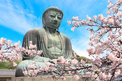 The Great Buddha And Flowers Of Sakura, Kotoku-in Temple, Japan, Asia. Cherry Blossoming Season In Japan