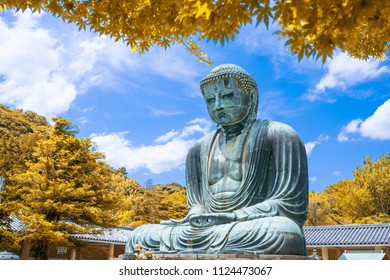 The Great Buddha of Kamakura at autumn season with yellow leaf, Kanagawa,Japan.
Originally housed in a hall that was destroyed twice in the 14th Century, the great Buddha at Kotoku-in Temple dates fro