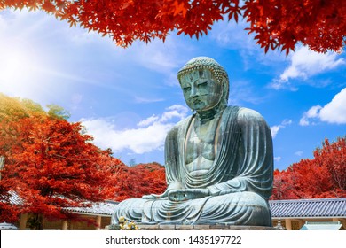 The Great Buddha of Kamakura at autumn season with red leaf, Kanagawa,Japan.
Originally housed in a hall that was destroyed twice in the 14th Century, the great Buddha at Kotoku-in Temple dates fro