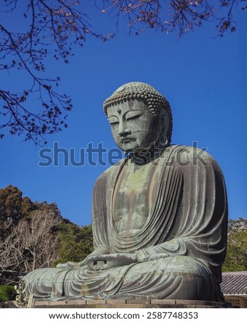 Great buddha statue Kamakura Daibutsu at Kotoku in shrine temple in Kamakura,Kanagawa, Japan