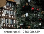 The Great Christmas tree in Place Kleber, Strasbourg, France, the capital of Christmas, with a historic half-timbered house in the background