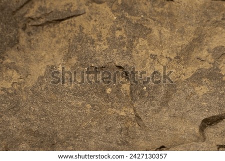 Great detailed stone or rock texture with colors white, brown, yellow, beige, gold, rocky, marble, granite, abstract, clear, post, background, vintage, grunge, rough, uniform, unbalanced, scratch.