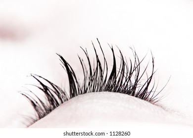 Great eye - MACRO
