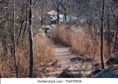 Great Falls Maryland Billy Goat Trail