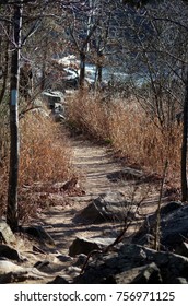 Great Falls Maryland Billy Goat Trail