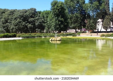 Great Fountain In Villa Borghese Gardens