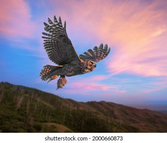 great horned owl with a rodent - Powered by Shutterstock