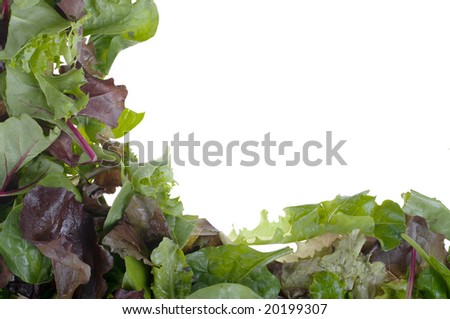 Similar – Image, Stock Photo Fresh leaf salad on a board with text space on the left