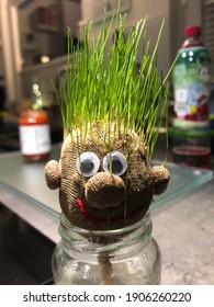 
great kids grass head experiment