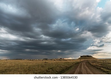 The Great Migration In The Serengeti