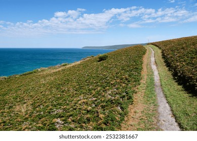 Great Ocean Walk towards Shelly Beach - Marengo, Victoria, Australia - Powered by Shutterstock