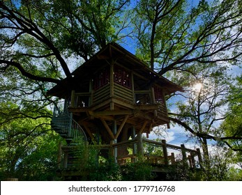 The Great Outdoor Beauty Captured With A Man Made TreeHouse