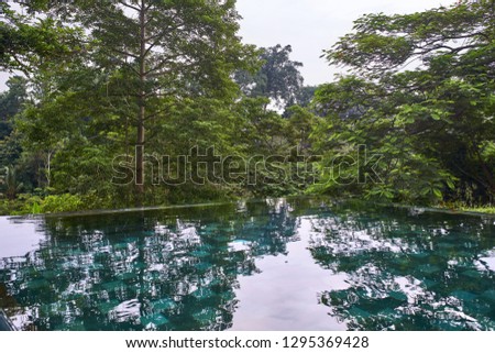 Similar – Pool with jungle