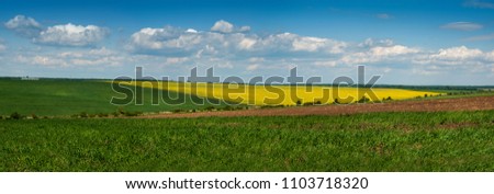 Great panoramic view of Rape Field