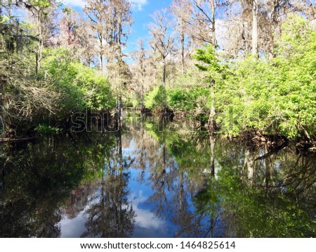 A great place to get away and explore nature, Lettuce Lake Park just north of Tampa, Florida, is a wildlife paradise located on the Hillsborough River.  