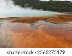 great prismatic spring in Yellowstone