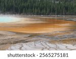 great prismatic spring in Yellowstone