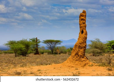 Great Rift Valley - Ethiopia - Termite Mound